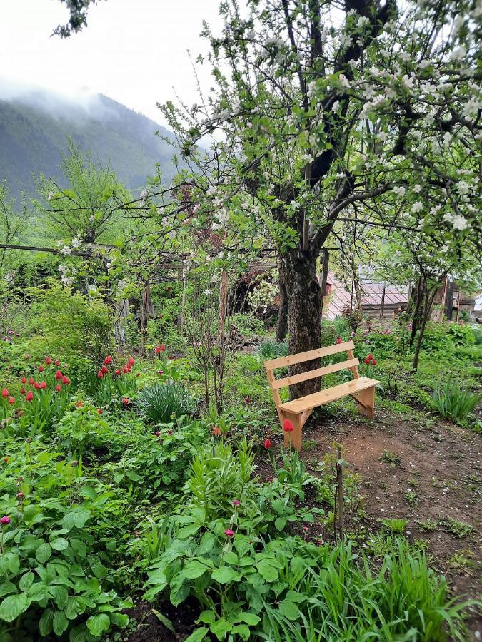 Guest House Bochora Borjomi Bagian luar foto