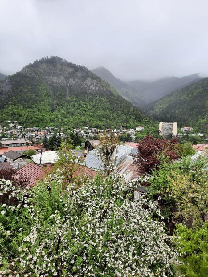 Guest House Bochora Borjomi Bagian luar foto