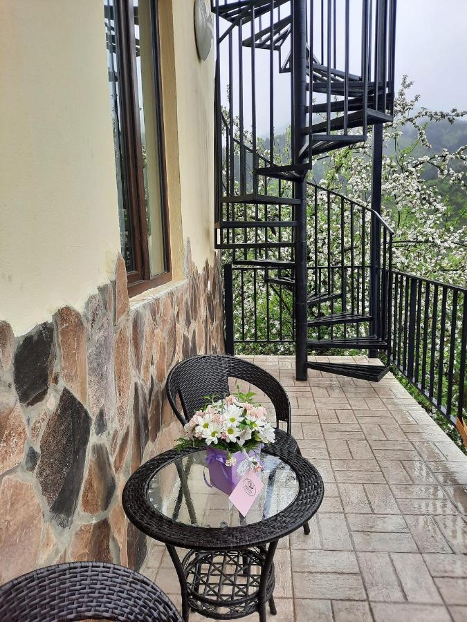 Guest House Bochora Borjomi Bagian luar foto