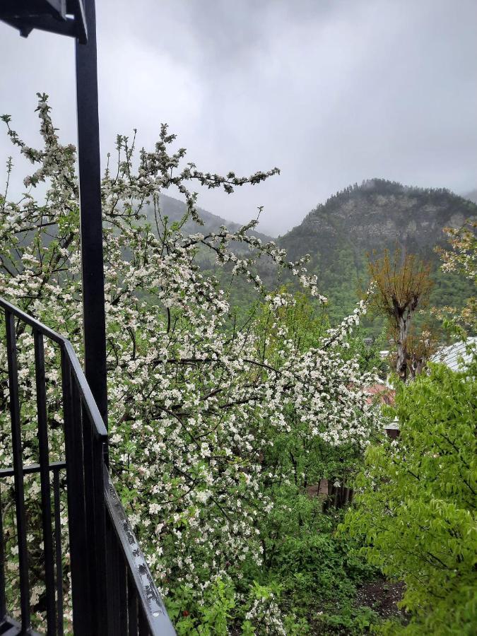 Guest House Bochora Borjomi Bagian luar foto