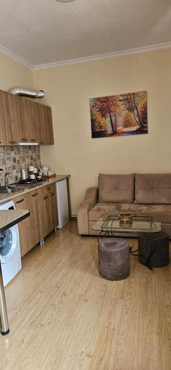 Guest House Bochora Borjomi Bagian luar foto